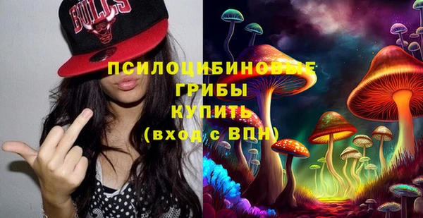 молекула духа Абинск