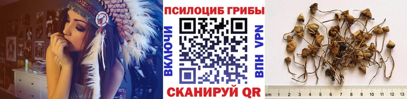Галлюциногенные грибы прущие грибы  это наркотические препараты  Сорск 