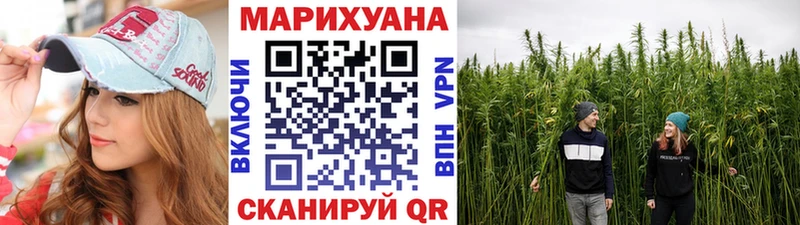 Конопля семена  дарнет шоп  Сорск 